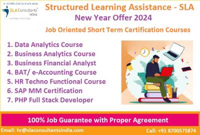 Learn Data Analytics in [2024] by Structured Learning Assistance - SLA Analytics and Data Science    - Delhi IT, Computer