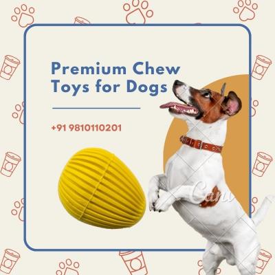 Premium Chew Toys for Dogs - Call +91 9810110201 Now!