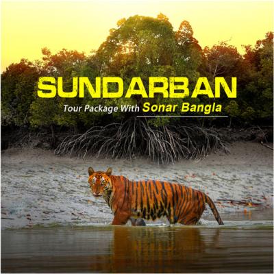 Book Sundarban Package with Hotel Sonar Bangla - Kolkata to Kolkata