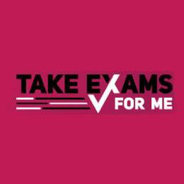 Unlock Academic Success: Struggling With Online Exams? Stress No More! - Other Tutoring, Lessons