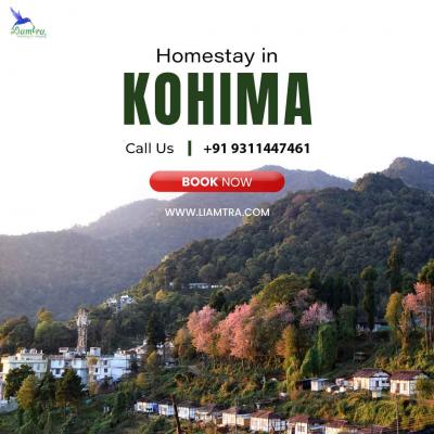 Experience the Hornbill Festival - Book Homestays in Kohima with Liamtra - Delhi Hotels, Motels, Resorts, Restaurants