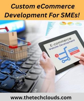  Custom eCommerce Development For SMEs!