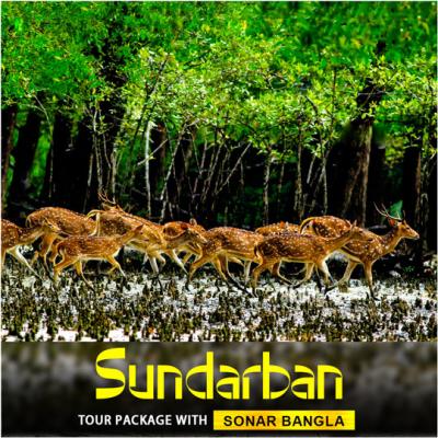 Sundarban Tour with Hotel Sonar Bangla - Kolkata Other