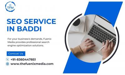 SEO Service in Baddi | The Fuenix Media - Other Other