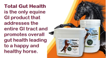 Digestive Health Horse Supplements - Other Health, Personal Trainer