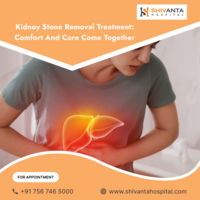 Stone-Free Kidneys: Best Techniques for Successful Removal - Ahmedabad Health, Personal Trainer