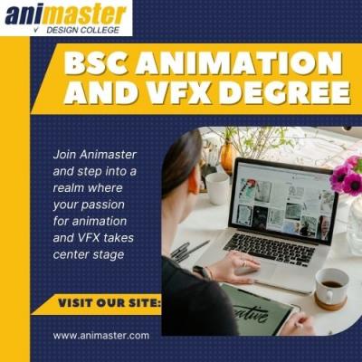 Bsc Animation and Vfx Degree - Other Other