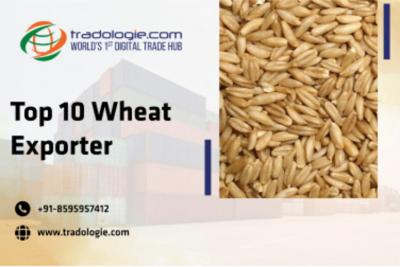 Top 10 Wheat Exporter - Dubai Other