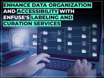 Enhance Data Organization and Accessibility with EnFuse's Labeling and Curation Services