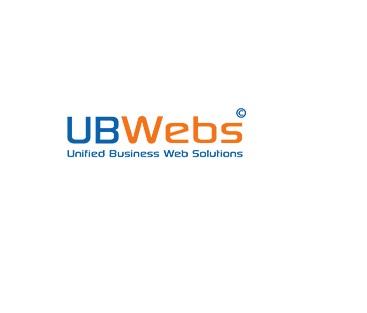 SEO Company in Jaipur|UB Webs - Jaipur Other