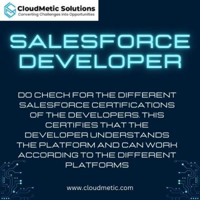 Salesforce Developer - New York Other