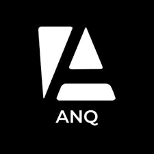 Anq is a digital banking platform that harnesses the power of Decentralized Finance - Tiruchirappalli Professional Services