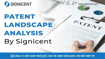 Patent Landscape Analysis - Signicent LLP - Other Other