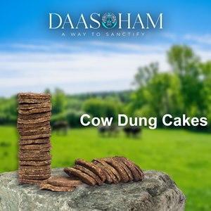 Cake Dung  In India - Visakhpatnam Other