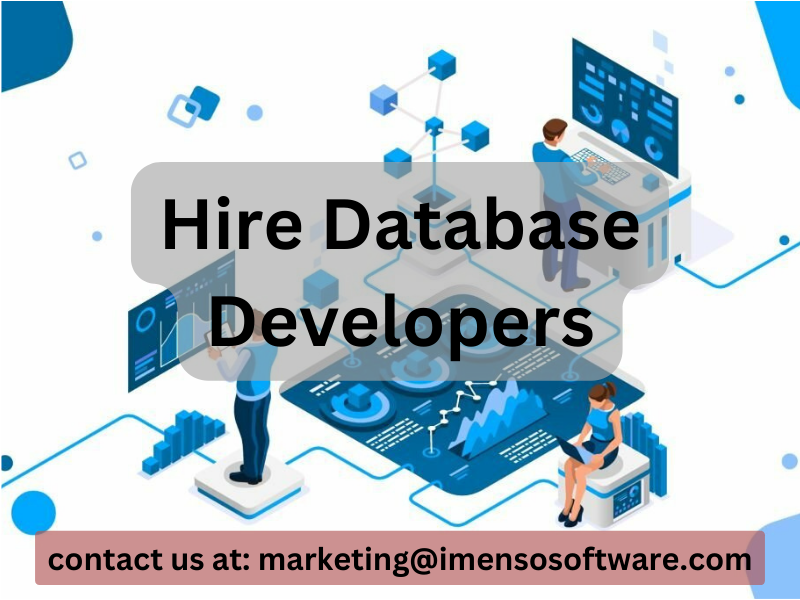 Hire Database Developers for Your Project :Imenso Software