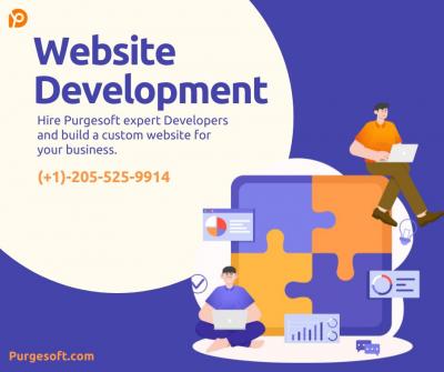 Website Development Services - Jaipur Other