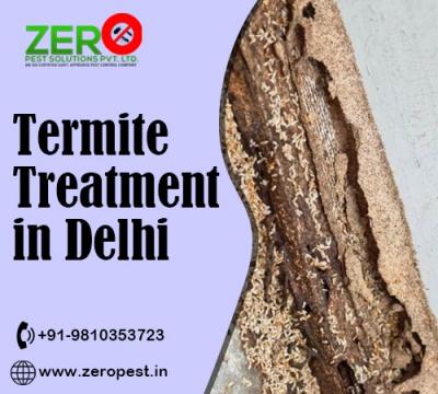 Termite-Free Living: Strategies for Effective Treatment in Delhi Homes - Delhi Other