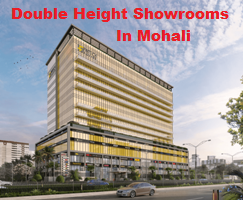 Double Height Showroom In Mohali - Chandigarh Other