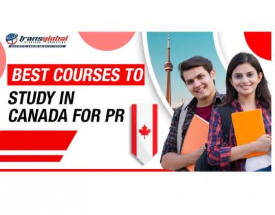 Best Courses to Study in Canada for PR Success