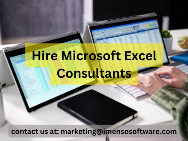 Hire Microsoft Excel Consultants for Custom Solutions: Imenso Software