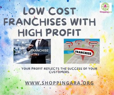 What Are Low-Cost Franchise Opportunities with High Profit Potential?