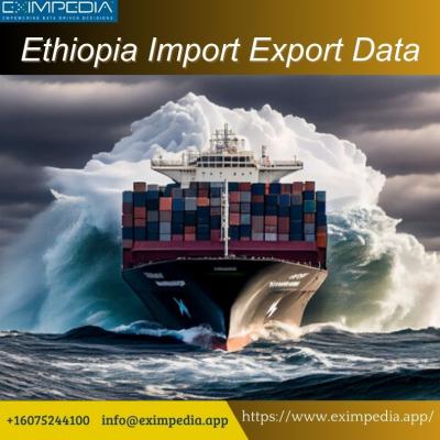 Ethiopia Import Export Data - Delhi Other