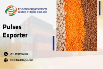 Pulses Exporter - Dubai Other