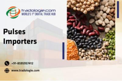 Pulses Importers - Dubai Other