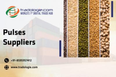 Pulses Suppliers - Dubai Other