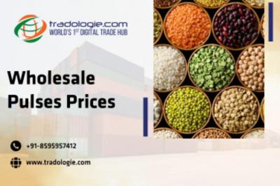 Wholesale Pulses Prices - Dubai Other