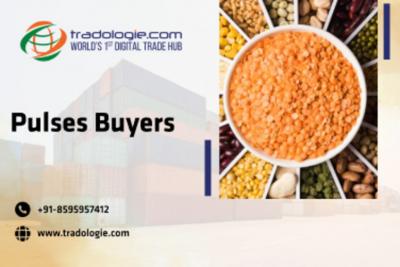 Pulses Buyers - Dubai Other