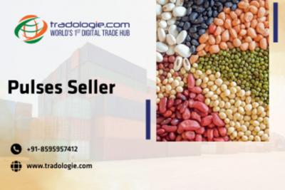 Pulses Seller - Dubai Other