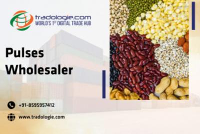 Pulses Wholesaler - Dubai Other