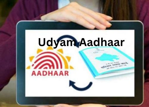 Empowering Small Businesses with Udyam Aadhaar - Delhi Insurance