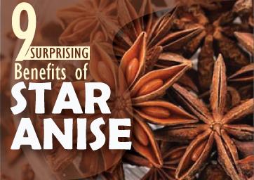 9 Secret Benefits of Star Anise That Will Transform Your Wellness - Jaipur Health, Personal Trainer