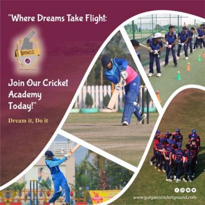 Best Cricket Academy In Haryana
