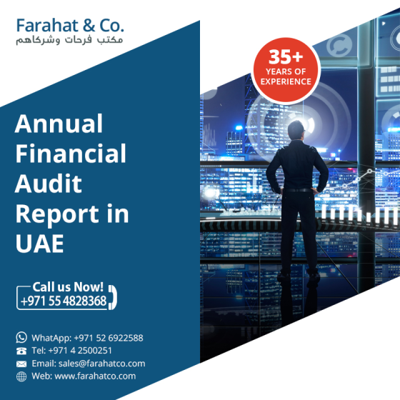 Audit Review and Compilation Report - Dubai Other