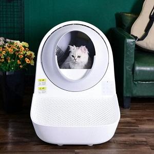 Revolutionize your cat's hygiene! - Albuquerque Other