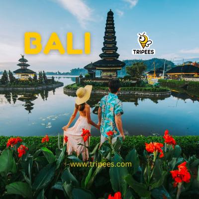 Bali Holiday Package. - Other Other