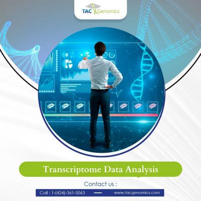 Transcriptome Data Analysis Services