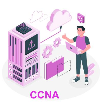 CCNA Institute in Noida - Delhi Tutoring, Lessons