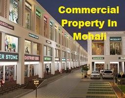 Commercial Property In Mohali - Chandigarh Other