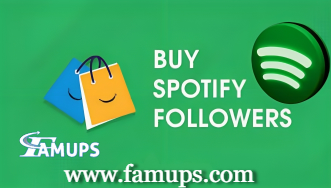 Buy Spotify followers securely - Seattle Other