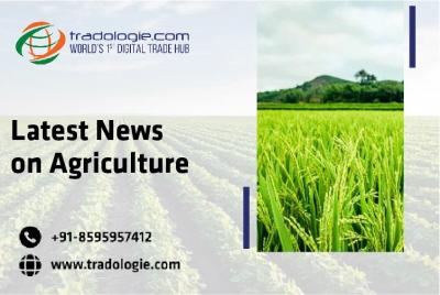 Latest News on Agriculture - Dubai Other