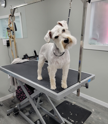 Best Pet Grooming Services in Port Nelson - Toronto Construction, labour