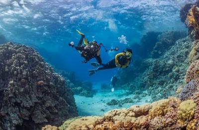 Scuba Diving Packages in Andaman Islands