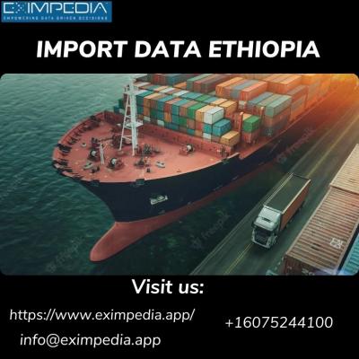 Import Data ethiopia - Singapore Region Other