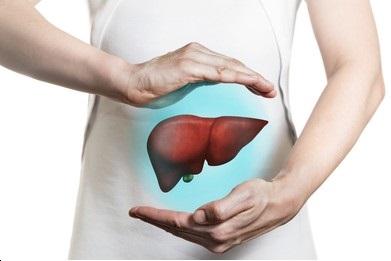 Understanding the Cost of Liver Transplants in India - Gurgaon Health, Personal Trainer