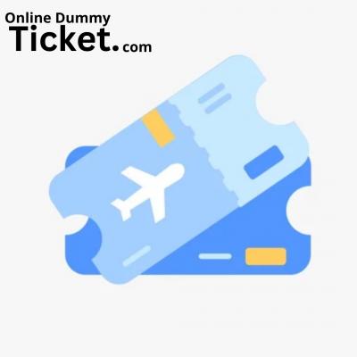 Dummy Flight Ticket - Delhi Other