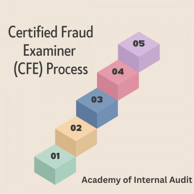 Learn CFE Process From Academy of Internal Audit - Delhi Professional Services